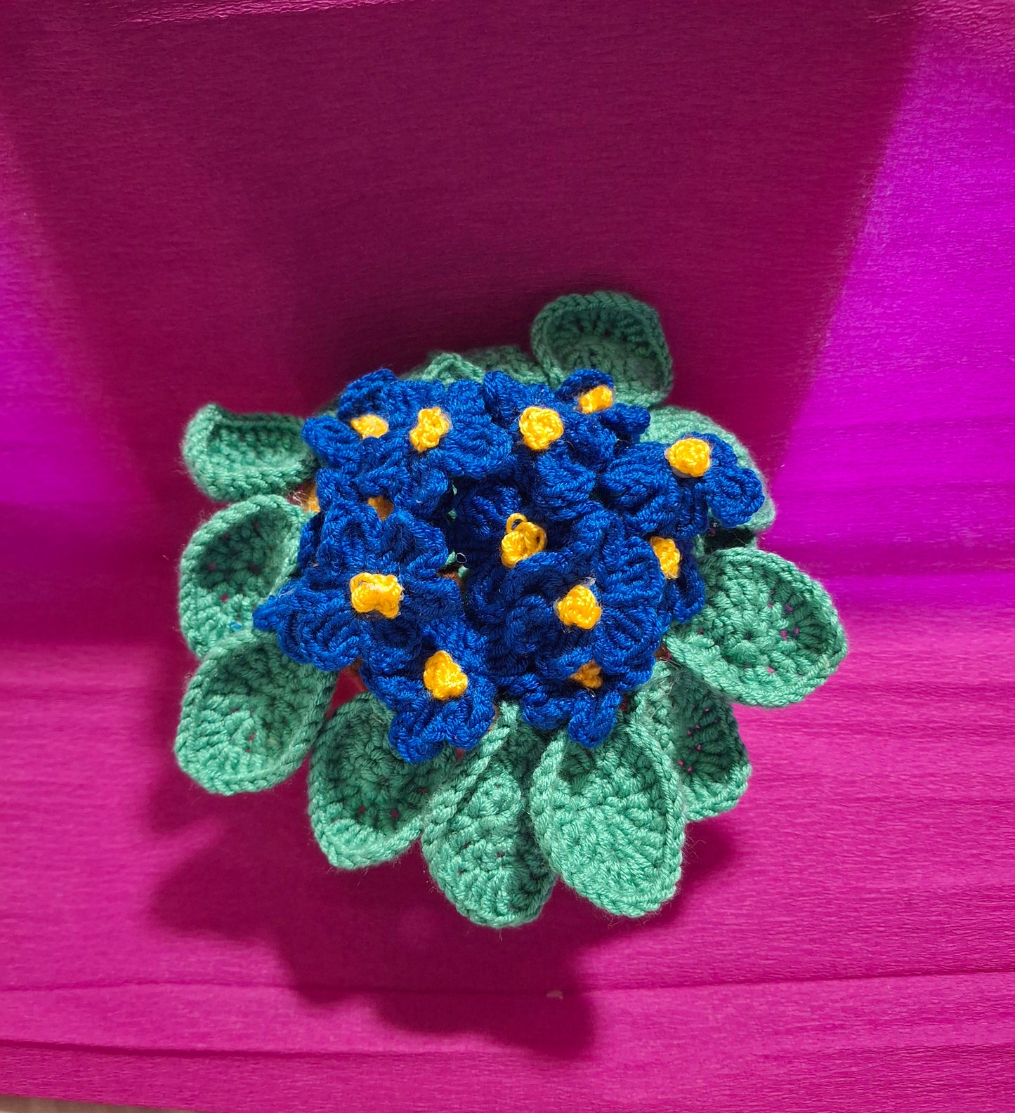 African Violet pot flower